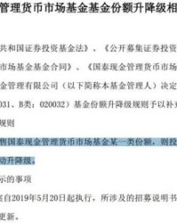  意甲联盟宣布改革升降级制度细则  